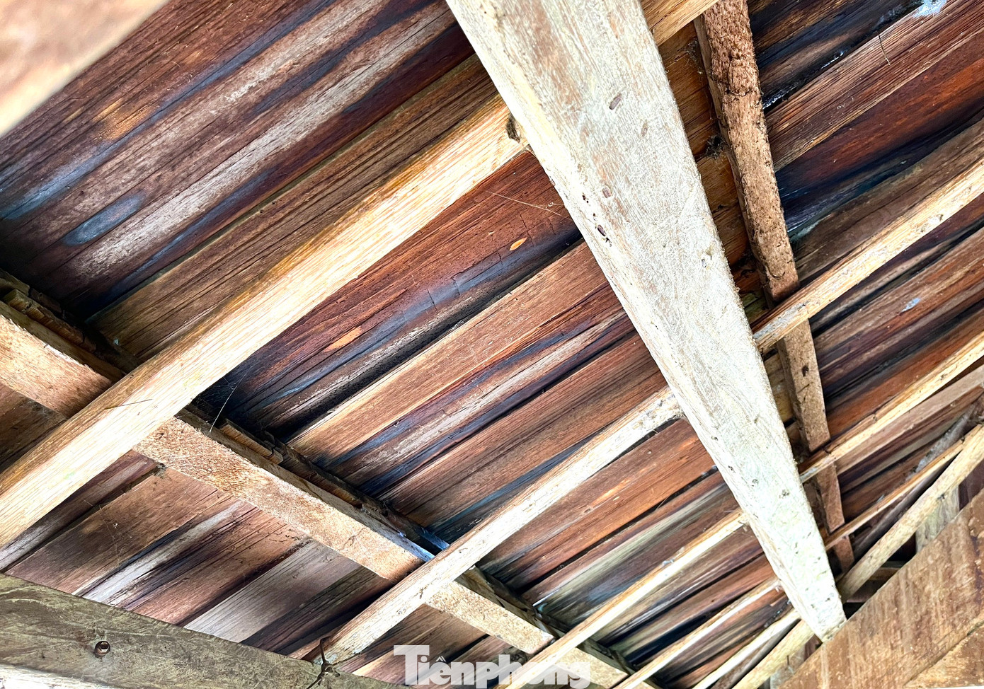 Loại gỗ samu này bền, có tinh dầu rất thơm đặc biệt không có mối mọt và có thể xua đuổi côn trùng, ruồi muỗi nên người dân rất thích. Trời nắng, nhiệt độ nóng làm cho các tấm gỗ samu trên mái nhà cong vênh, tạo ra những khe hở, có gió lùa vào trong nhà rất thoáng mát. Mùa đông mưa lạnh, những tấm gỗ trên mái co khít lại vừa che mưa, vừa chắn gió lạnh.