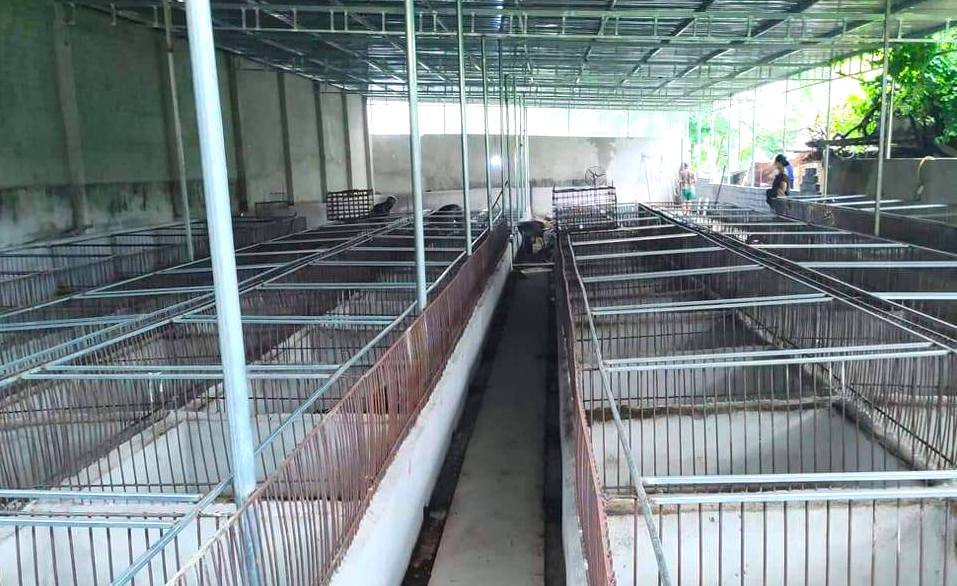 Ông Nguyễn Tiến Ái đầu tư hệ thống chuồng trại rộng hơn 500m2. Ông Nguyễn Tiến Ái đầu tư hệ thống chuồng trại rộng hơn 500m2.