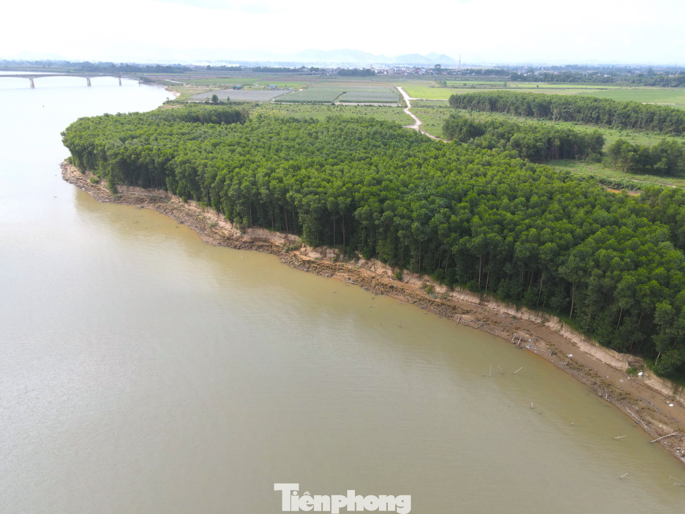 Ông Võ Văn Chiến cho hay, khu vực đất dưới chân cầu hàng năm được người dân trong xã trồng hoa màu. Tuy nhiên nước sông lấn sâu gây sạt lở khiến một diện tích đất lớn bị mất. Trung bình hàng năm nước sông cuốn trôi từ 1 đến 2 mẫu đất của xã này, tương đương 500-1.000m2 đất. Ông Võ Văn Chiến cho hay, khu vực đất dưới chân cầu hàng năm được người dân trong xã trồng hoa màu. Tuy nhiên nước sông lấn sâu gây sạt lở khiến một diện tích đất lớn bị mất. Trung bình hàng năm nước sông cuốn trôi từ 1 đến 2 mẫu đất của xã này, tương đương 500-1.000m2 đất.