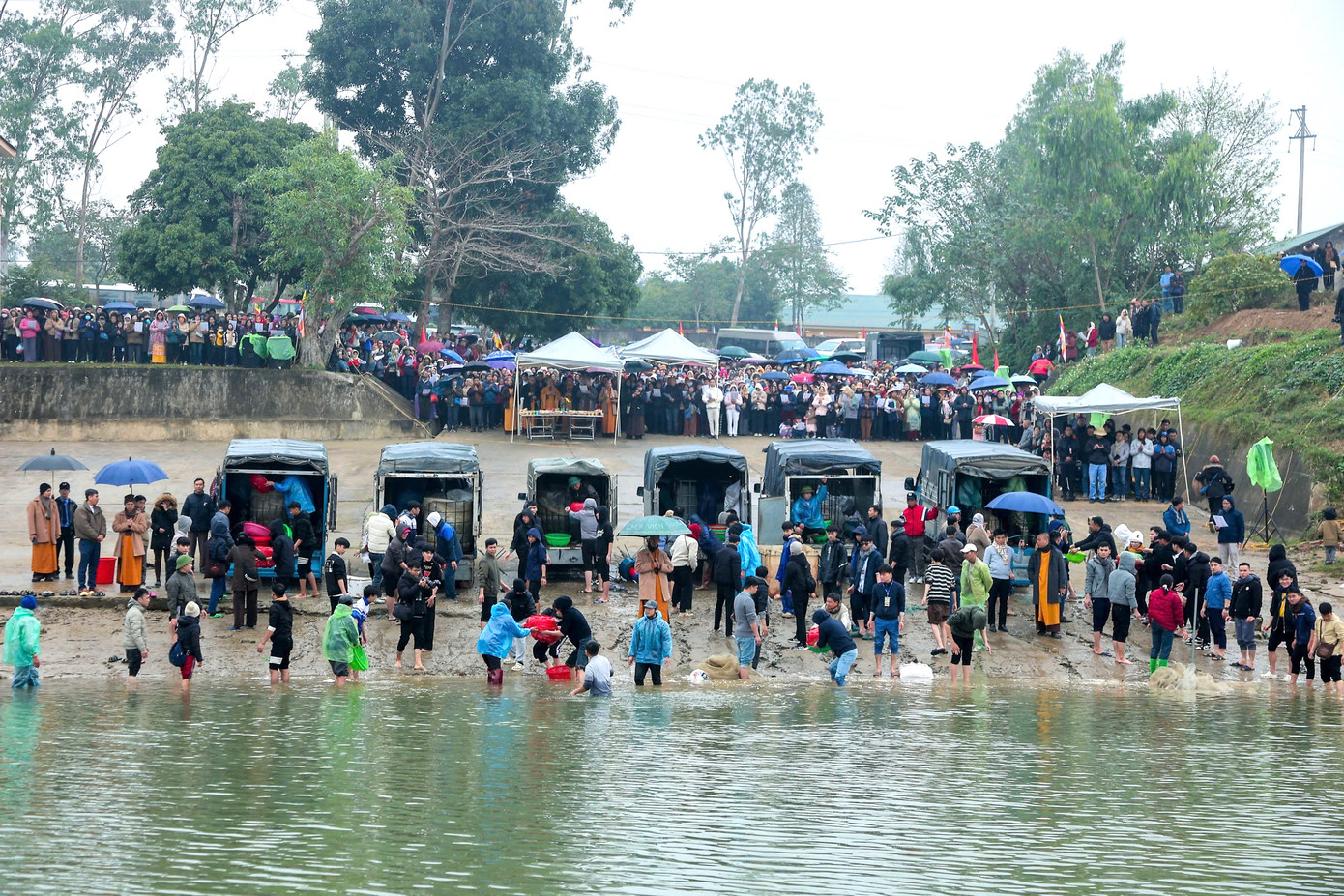 Hơn 10 tấn cá được phóng sinh gồm cá trôi, trắm, mè... đủ kích thước từ nhỏ đến to được nhà chùa mua của các trang trại cá giống trên địa bàn.