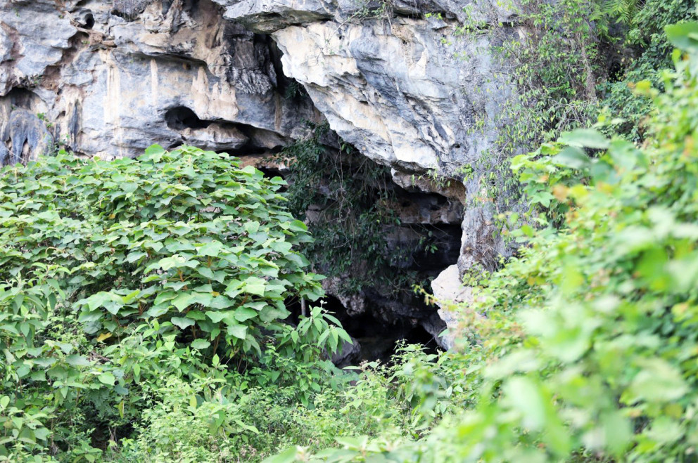 Cửa vào di tích khảo cổ học hang Đồng Trương rậm rạp cây cối.