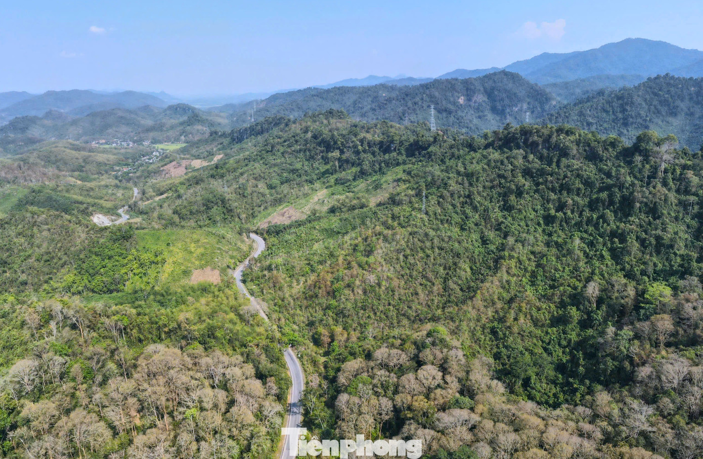 Tại các huyện miền núi Nghệ An, cây tre mét được người dân trồng hàng chục năm trước để lấy măng, làm nguyên liệu đan lát, vật liệu phục vụ xây dựng. Nhờ nhiều tác dụng, hiệu quả kinh tế nên diện tích trồng tre mét ngày càng được mở rộng. Ở nhiều địa phương, cây tre mét trở thành cây chủ lực giúp người dân từng bước xóa đói giảm nghèo. Tại các huyện miền núi Nghệ An, cây tre mét được người dân trồng hàng chục năm trước để lấy măng, làm nguyên liệu đan lát, vật liệu phục vụ xây dựng. Nhờ nhiều tác dụng, hiệu quả kinh tế nên diện tích trồng tre mét ngày càng được mở rộng. Ở nhiều địa phương, cây tre mét trở thành cây chủ lực giúp người dân từng bước xóa đói giảm nghèo.