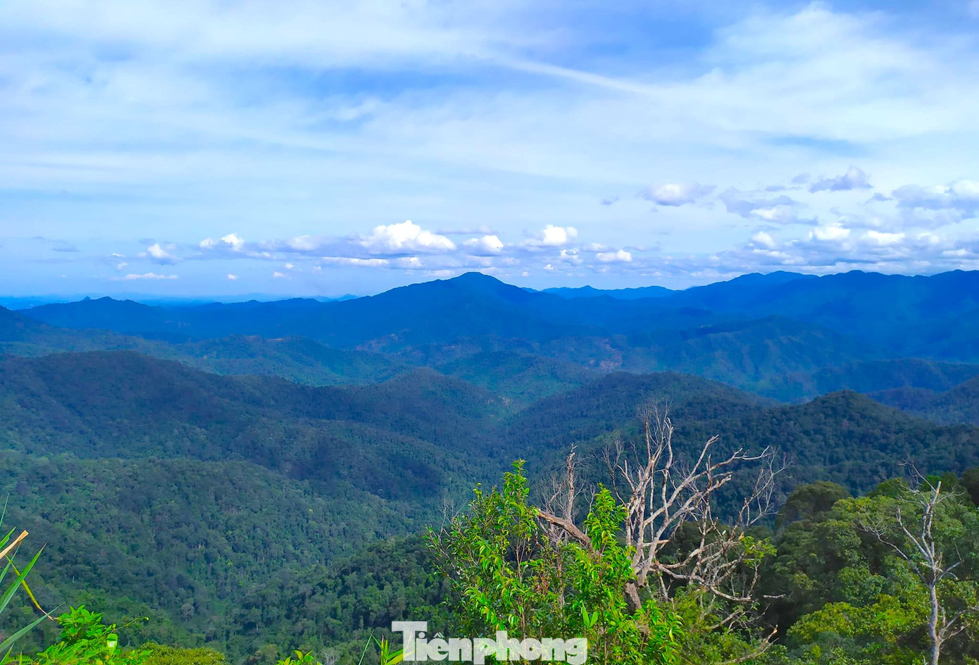 Vườn quốc gia Pù Mát là vùng lõi của khu dự trữ sinh quyển miền Tây Nghệ An. Vườn quốc gia Pù Mát nằm ở sườn phía Đông dãy Trường Sơn, trải dài trên 3 huyện miền núi của tỉnh Nghệ An là: Con Cuông, Anh Sơn và Tương Dương. Theo tiếng của đồng bào dân tộc Thái, Pù Mát có nghĩa là những con dốc cao.