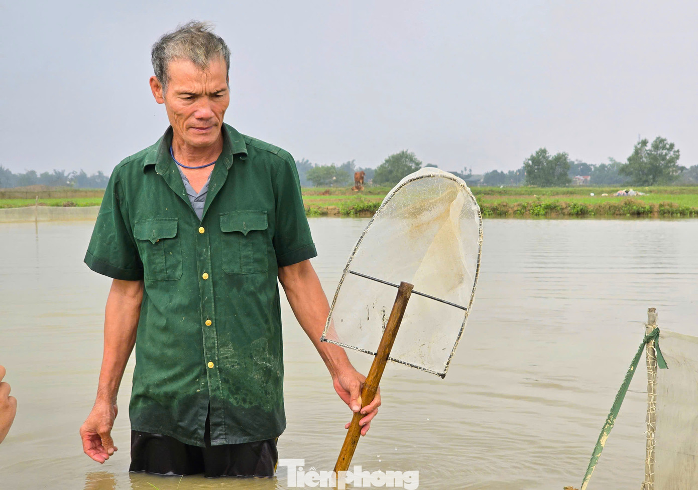 Mùa rươi thường bắt đầu từ tháng 10 âm lịch đến hết tháng 11 âm lịch. Rươi nổi bất chợt theo con nước và không theo ngày cố định. Có những thời điểm rươi nổi ban ngày, cũng có lúc nổi ban đêm và cho người dân thu hoạch rải rác. Tuy nhiên rươi vẫn tập trung nổi nhiều vào dịp đầu tháng và ngày rằm tháng 10, tháng 11 âm lịch.