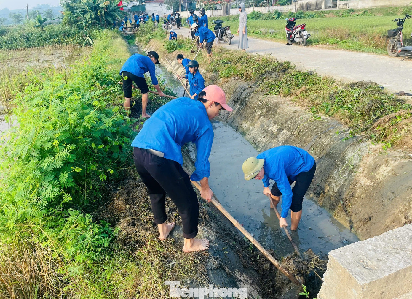 Tổ chức đắp bổ sung, đắp mới hệ thống bờ vùng, bờ thửa để chuẩn bị cho sản xuất nông nghiệp vụ Đông năm 2024 và vụ Xuân năm 2025 trên địa bàn toàn huyện.