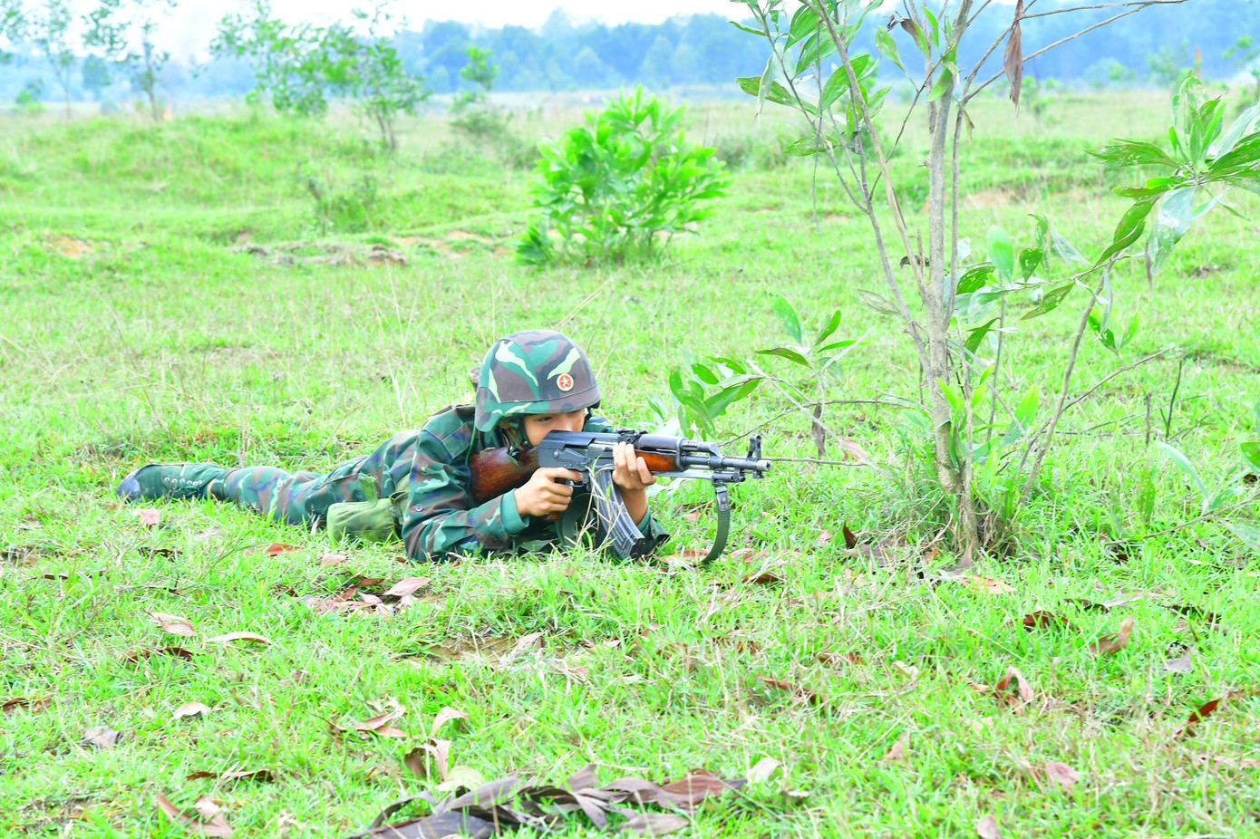 Cuộc diễn tập gồm các nội dung chuyển đơn vị vào trạng thái sẵn sàng chiến đấu; làm công tác tổ chức chiến đấu và thực hành chiến đấu thông qua các tình huống giả định; tổ chức thực hành vượt sông hành quân, trú quân chiến đấu. Cuộc diễn tập gồm các nội dung chuyển đơn vị vào trạng thái sẵn sàng chiến đấu; làm công tác tổ chức chiến đấu và thực hành chiến đấu thông qua các tình huống giả định; tổ chức thực hành vượt sông hành quân, trú quân chiến đấu.