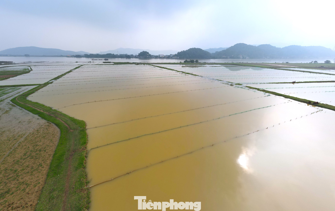 Cánh đồng xã Châu Nhân (huyện Hưng Nguyên, Nghệ An) nằm sát mép sông Lam. Nơi đây từng khoảnh ruộng được người dân tận dụng tối đa để thu hoạch rươi. Những con rươi hoàn toàn tự nhiên, nổi lên từ đất nên người dân vẫn thường gọi đó là "lộc trời".