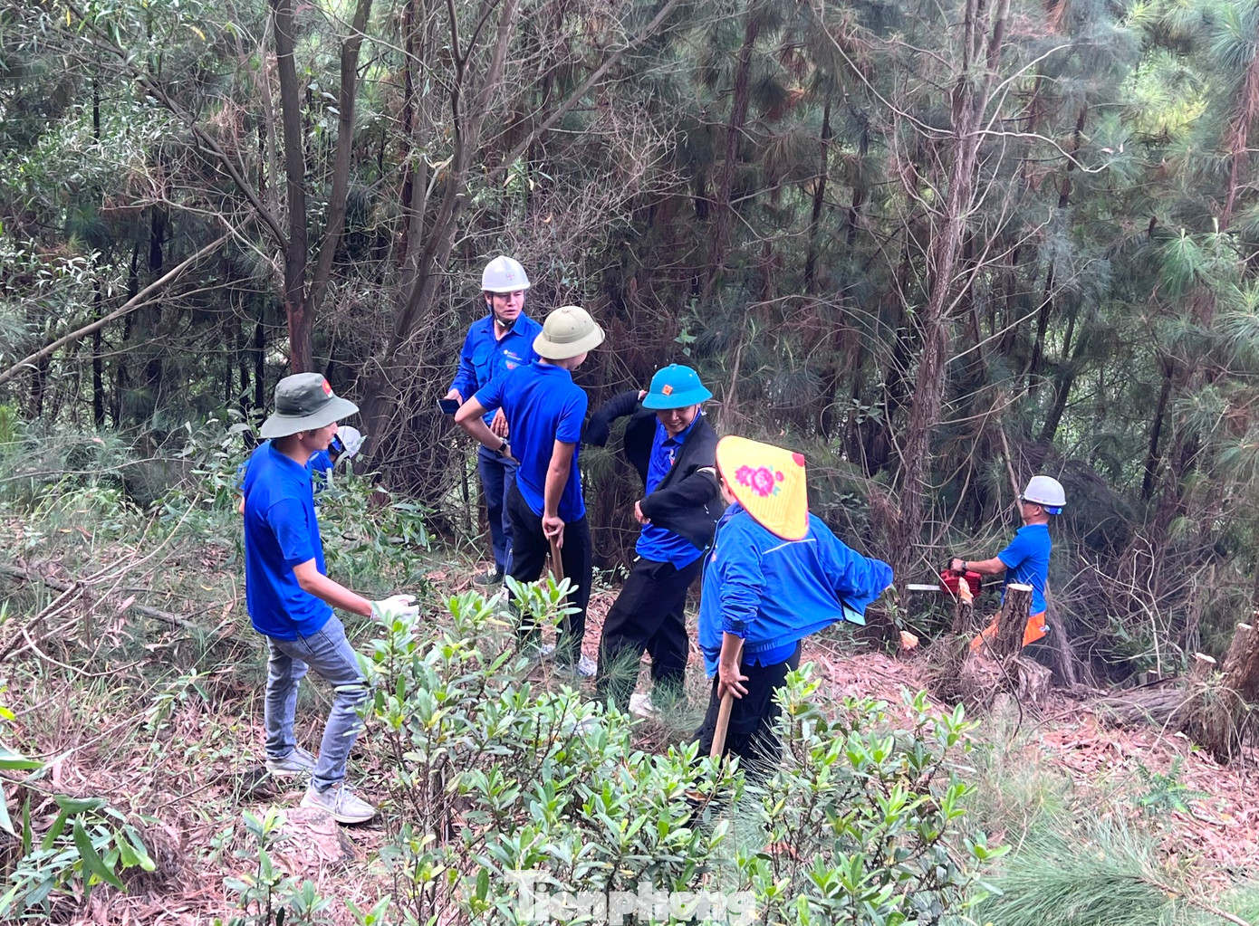 Các đoàn viên thanh niên sử dụng máy cưa xăng, dao, cào cuốc để cắt tỉa cành cây, tránh xâm phạm vào hành lang đường điện.