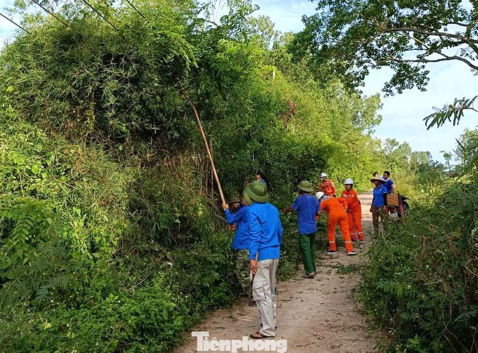 Các đoàn viên bất chấp nắng nóng, nhiệt tình tham gia phát quang các hệ thống đường điện.