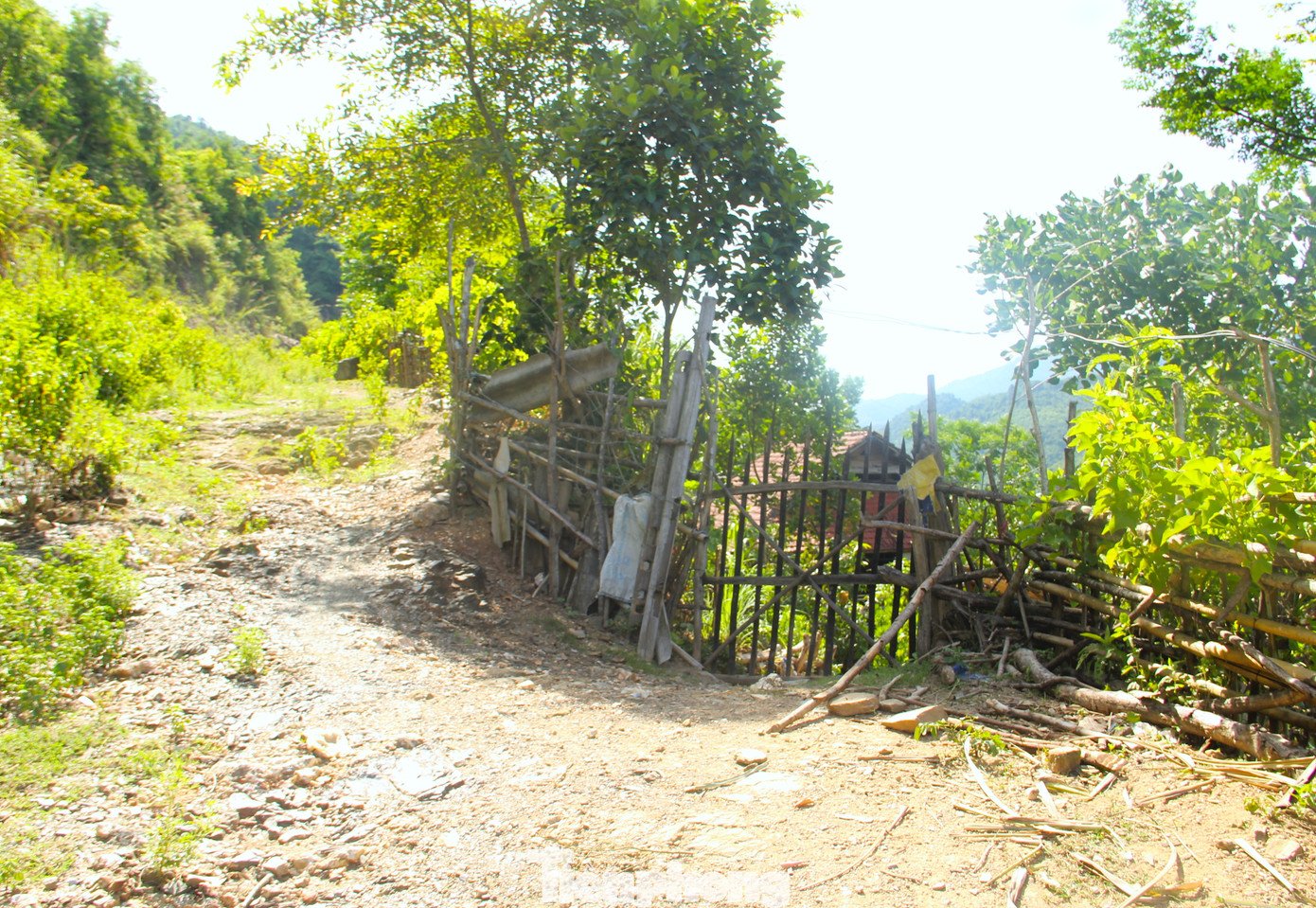 Tuyến đường lởm chởm đất đá khó đi nên những năm qua, người dân bản Cà Moong phải tìm cách khác để đi và "bỏ quên" luôn tuyến đường này. Ông Vi Đình Phúc - Chủ tịch UBND xã Lượng Minh cho biết, để ra khỏi bản, người dân phải đi đường vòng qua nhiều chặng rồi đi thuyền vượt lòng hồ thuỷ điện Bản Vẽ.