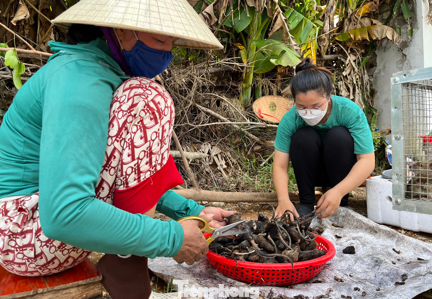 Chuột được tiêu thụ mạnh cũng giúp một số “thợ bắt chuột” hái ra tiền. Có nhiều gia đình thu nhập cả trăm triệu đồng mỗi năm nhờ nghề bắt chuột. Chị Vũ Thị Hường (42 tuổi, trú làng Thọ Thành, xã Đức Thành) cho hay, việc bắt chuột có nhiều cách như: đuổi bắt, đặt bẫy, đào hang. Cách đặt bẫy là khỏe nhất nhưng rượt đuổi bắt chuột lại có hiệu quả cao hơn. Tuy nhiên, việc đuổi bắt chuột mất nhiều sức nên một tuần họ chỉ đi bắt được 2-3 ngày.