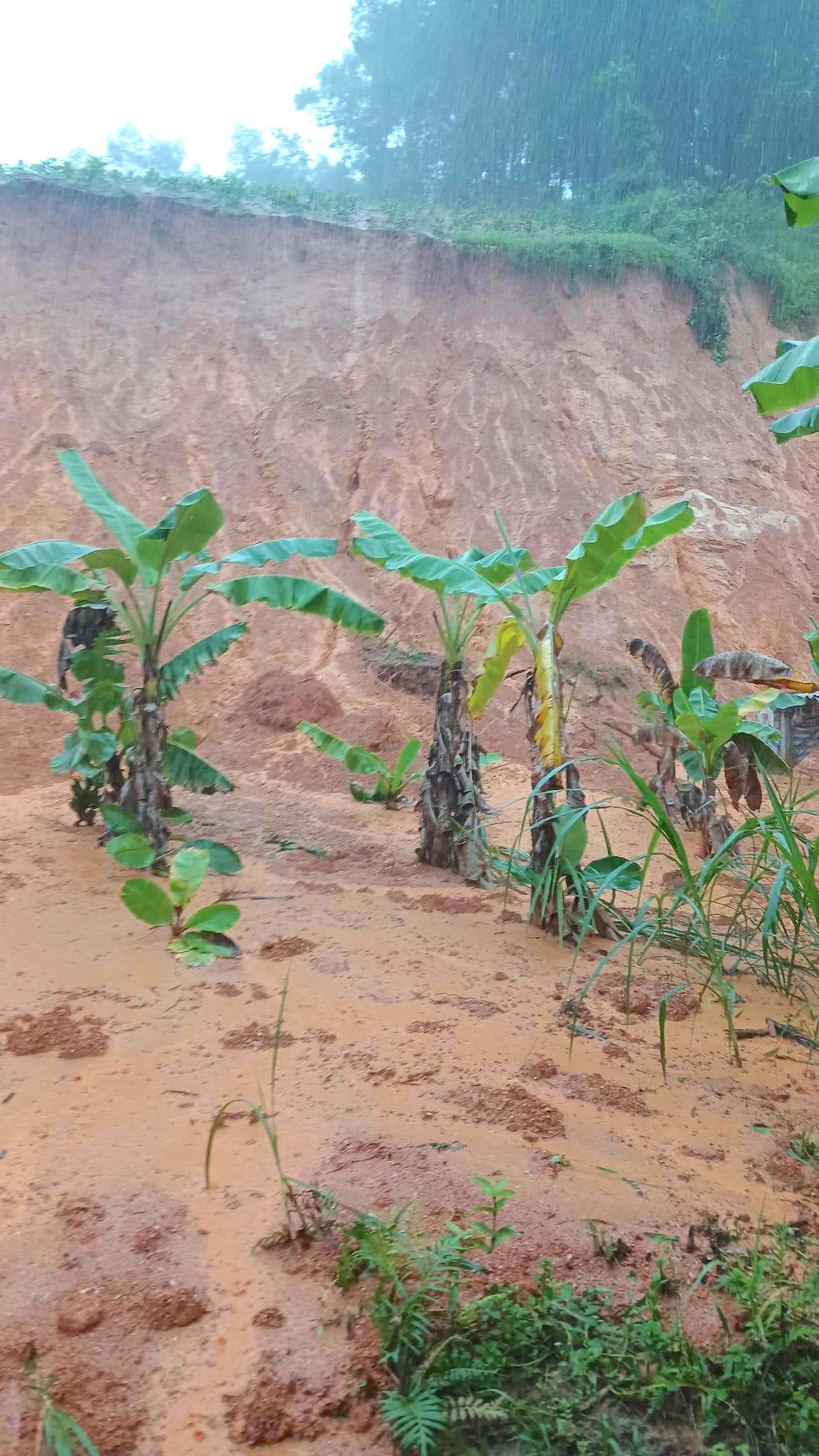 Mưa lớn gây sạt lở đất tràn vào các hộ dân ở xã Tam Sơn (huyện Anh Sơn, Nghệ An). Hiện 9 hộ dân ở xã này đã được di dời đến nơi an toàn.