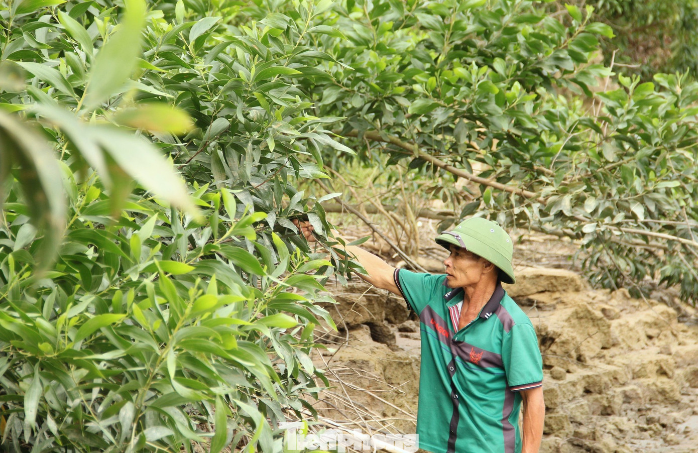 Ông Kỳ cho hay, tình trạng sạt lở diễn ra nhiều năm qua và hiện vẫn chưa có dấu hiệu dừng lại. Ông Kỳ cho hay, tình trạng sạt lở diễn ra nhiều năm qua và hiện vẫn chưa có dấu hiệu dừng lại.