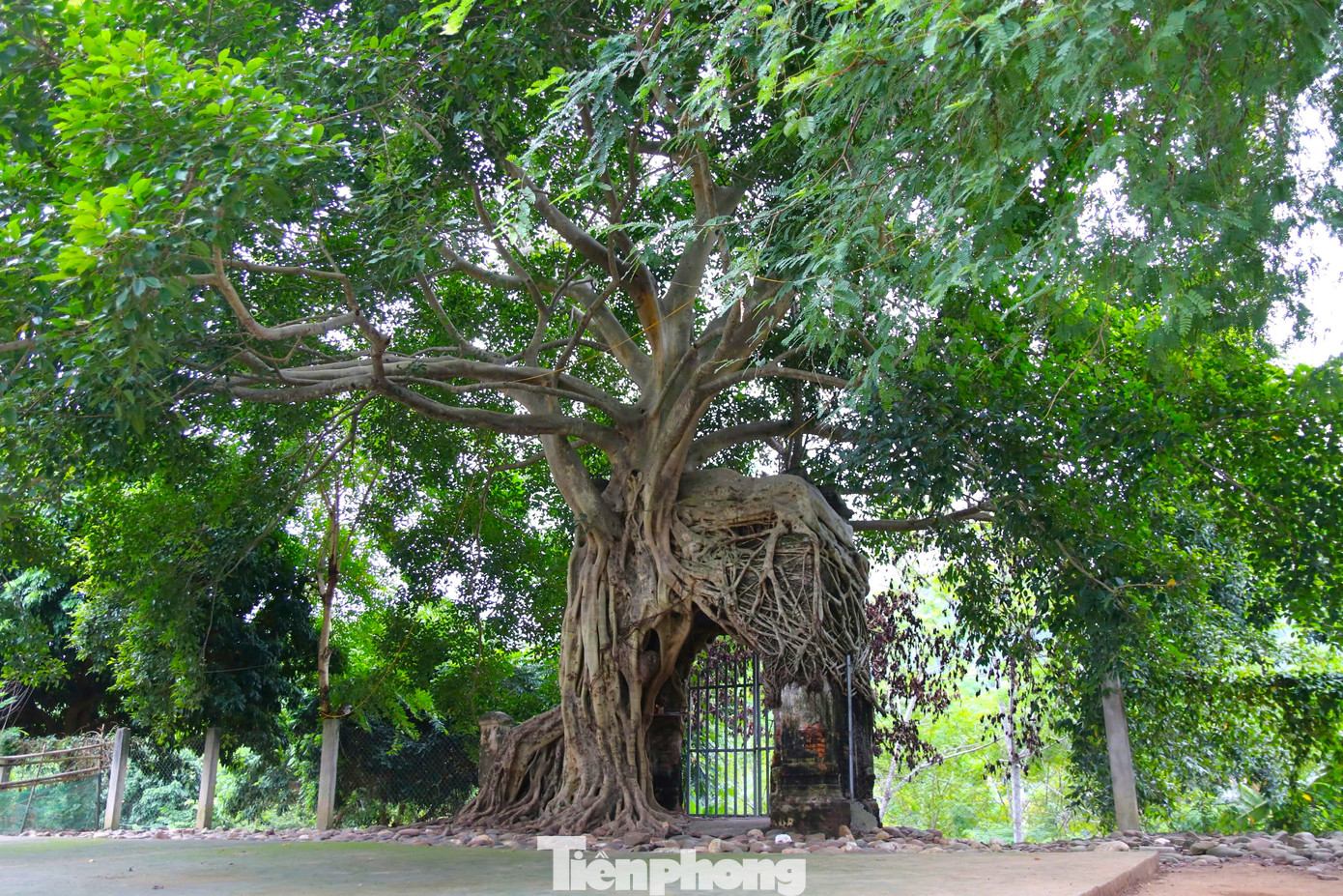 Cổng phủ Tương nằm ở bản Cửa Rào 1 (xã Xá Lượng, huyện Tương Dương, Nghệ An) hướng nhìn ra ngã ba sông, nơi hợp lưu của dòng sông Nậm Nơn và Nậm Mộ, khởi nguồn của dòng sông Lam.
