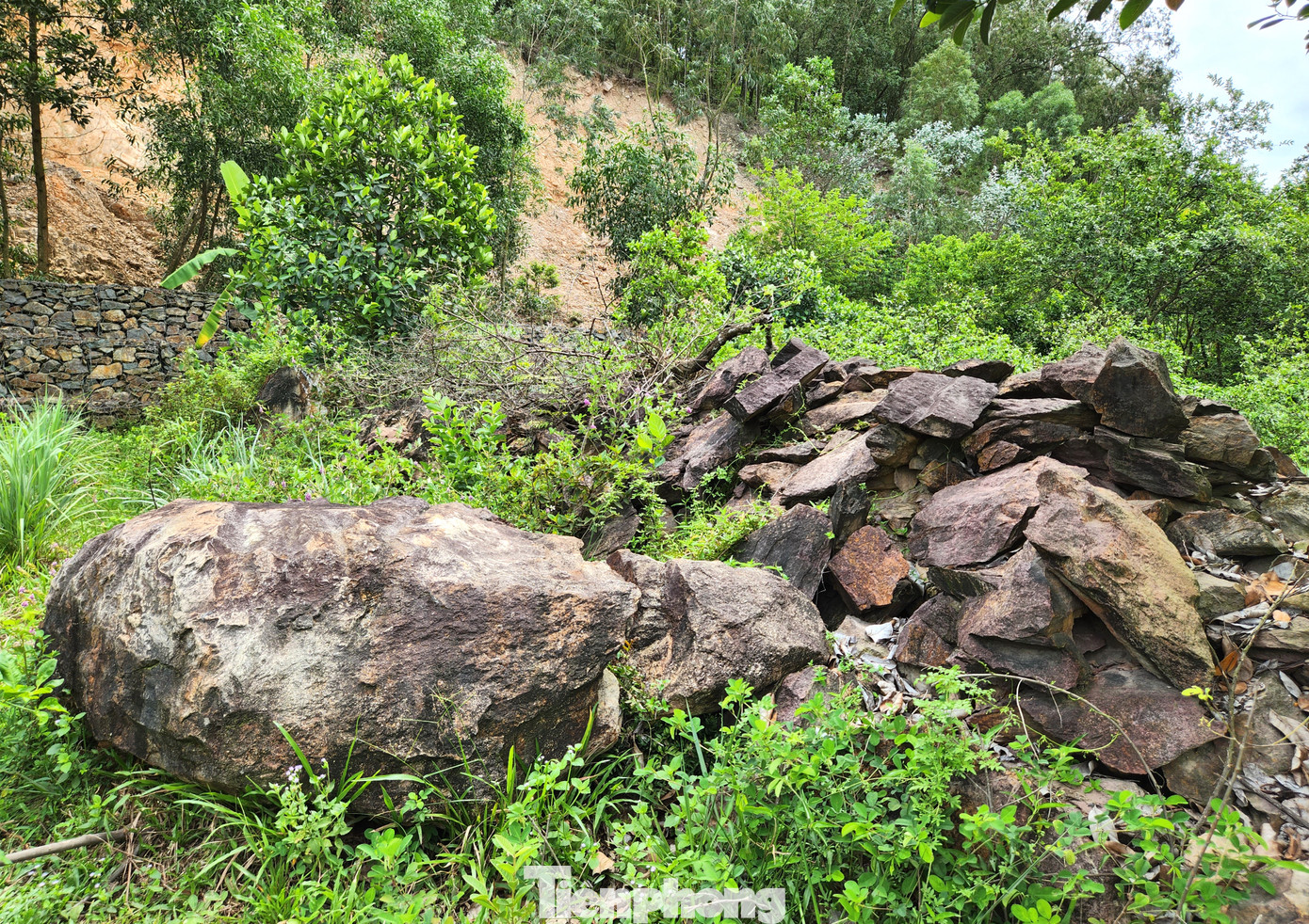 Ông Lê Đình Tính (58 tuổi, trú xóm 5, xã Hưng Yên Nam) cho hay, những năm qua đất đá trên núi liên tục sạt lở xuống phía dưới. Trong vườn nhà ông vẫn còn nhiều tảng đá lớn do các vụ sạt lở núi lăn xuống.