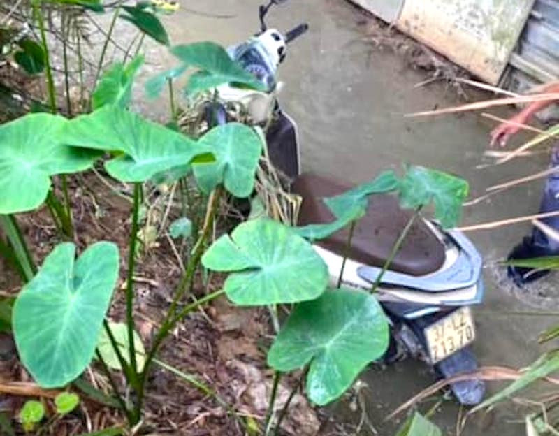 Thi thể nạn nhân và chiếc xe máy được phát hiện dưới mương nước cầu vượt Yên Lý. Thi thể nạn nhân và chiếc xe máy được phát hiện dưới mương nước cầu vượt Yên Lý.