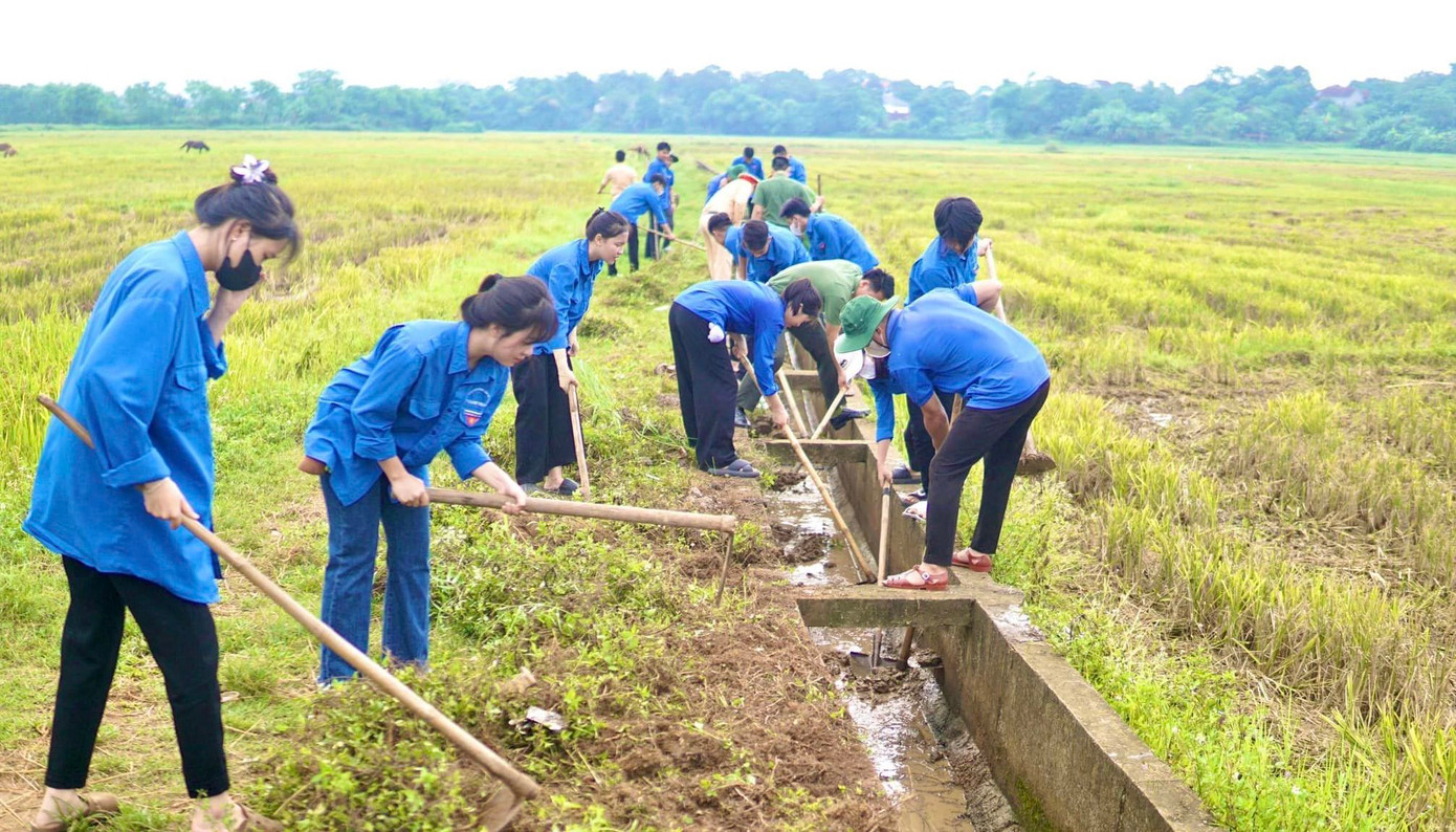 Theo đó, trong Ngày Chủ nhật xanh, các cấp bộ Đoàn trên toàn tỉnh Nghệ An đã đồng loạt ra quân với nhiều hoạt động thiết thực như: làm mới, sửa chữa đường giao thông nông thôn, đường trục chính nội đồng; phát quang đường băng cản lửa; tu sửa, nạo vét hệ thống kênh mương thủy lợi nội đồng.