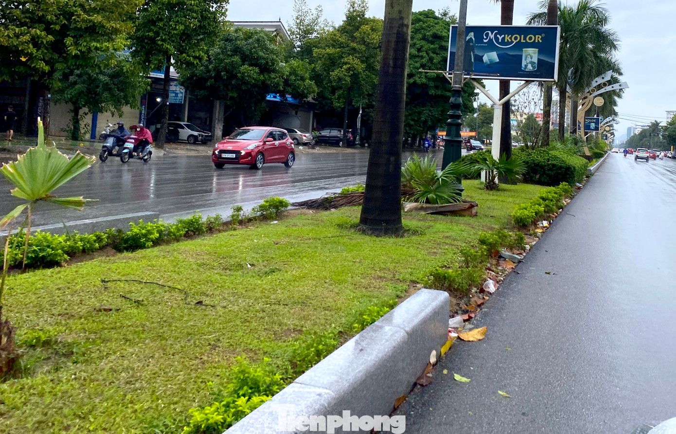 Nhiều điểm đá bồn hoa cây cảnh giữa đường sau khi lát xong đã bị ngả nghiêng, hư hỏng.