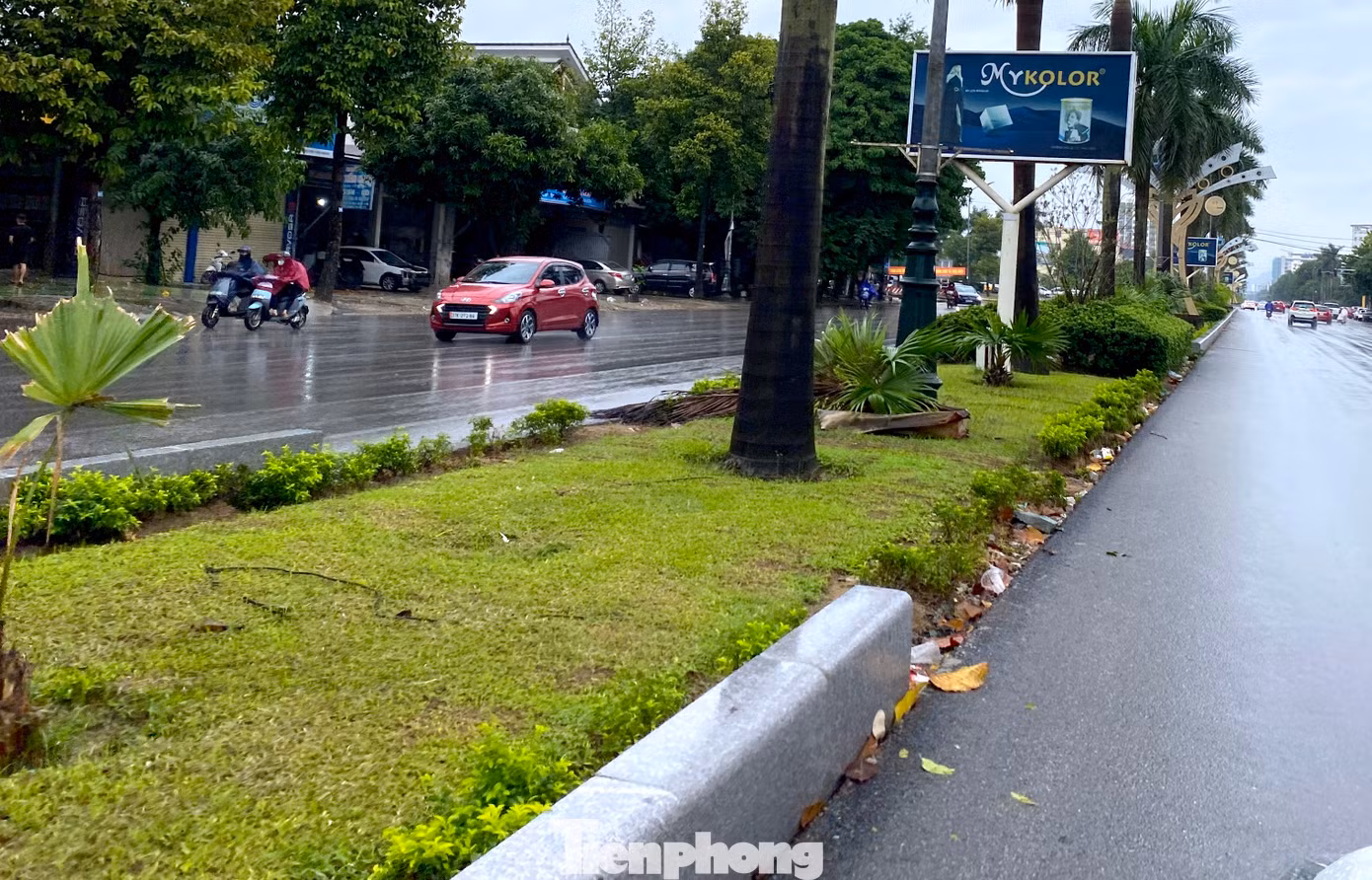 Nhiều điểm đá bồn hoa cây cảnh giữa đường sau khi lát xong đã bị ngả nghiêng, hư hỏng.