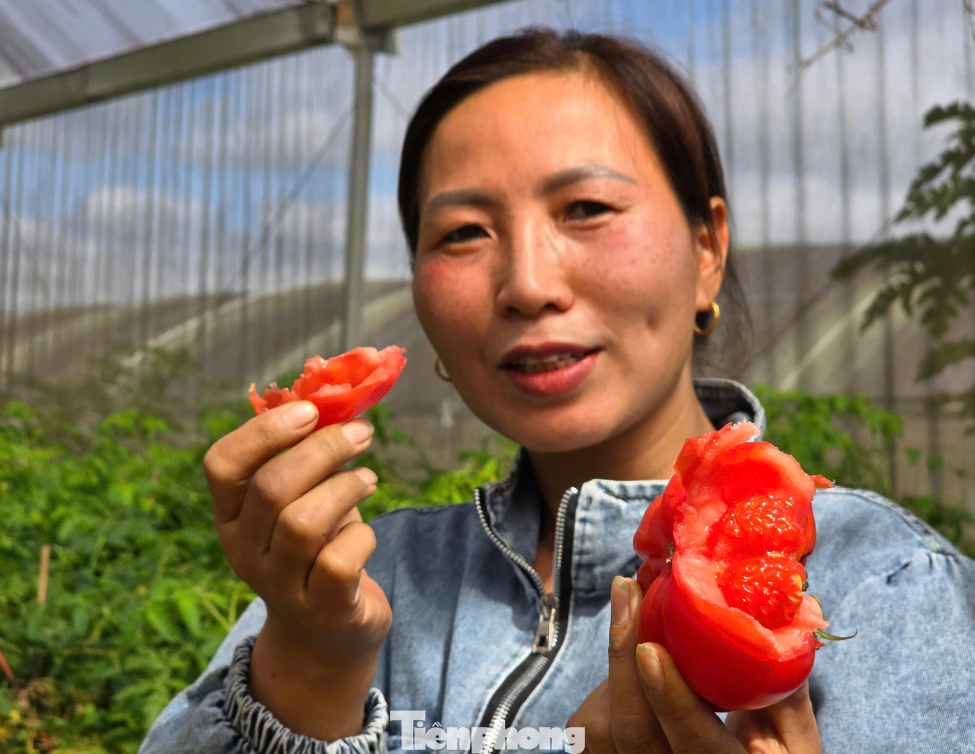 Đây là 1 trong 3 sản phẩm nông nghiệp sạch chủ lực của chị Giang trên diện tích hơn 2ha nhà lưới. “Cà chua múi là sản phẩm đặc trưng bản địa, được công nhận đạt OCOP 3 sao. Cà chua sạch nên rất được khách hàng ưa chuộng, tôi thu hoạch đến đâu bán hết đến đó”, chị Giang nói.