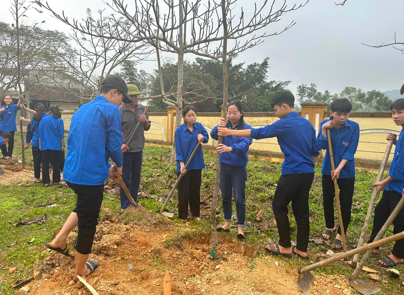 Những cây xanh lớn được các đoàn viên thanh niên trồng trong ngày Tết trồng cây xuân Giáp Thìn 2024. Những cây xanh lớn được các đoàn viên thanh niên trồng trong ngày Tết trồng cây xuân Giáp Thìn 2024.