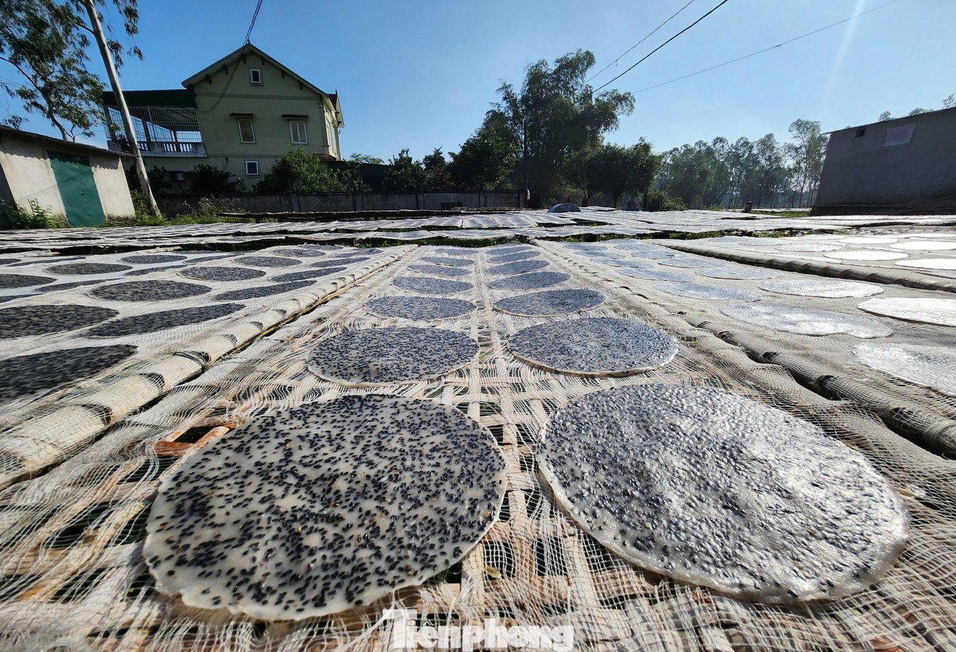 Bánh đa ở Tây Lân mang hương vị thơm ngon đặc biệt nên khách hàng rất ưa chuộng. Theo người dân nơi đây, bánh được làm từ bột gạo và vừng. Ngoài ra, mỗi cơ sở có thêm những gia vị riêng để bánh có vị thơm và ngon. Khi nướng, bánh giòn, ngon, bùi và thơm từ những hạt vừng đen. Bánh đa ở Tây Lân mang hương vị thơm ngon đặc biệt nên khách hàng rất ưa chuộng. Theo người dân nơi đây, bánh được làm từ bột gạo và vừng. Ngoài ra, mỗi cơ sở có thêm những gia vị riêng để bánh có vị thơm và ngon. Khi nướng, bánh giòn, ngon, bùi và thơm từ những hạt vừng đen.