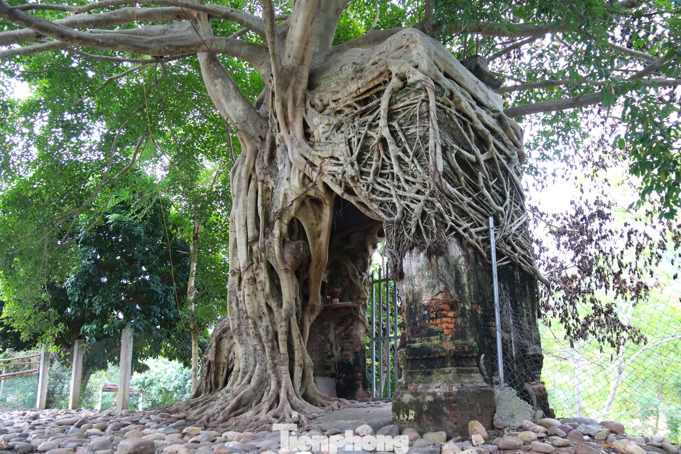 Trước những năm 1945, phủ Tương Dương là trung tâm kinh tế, văn hóa, chính trị của khu vực miền Tây xứ Nghệ. Sau Cách mạng tháng Tám, nơi đây trở thành trụ sở của chính quyền cách mạng. Sau nhiều lần chuyển đổi trụ sở, khu vực này trở thành khuôn viên trường THCS Xá Lượng. Các công trình xung quanh cũng đã bị phá bỏ và hiện chỉ còn lại duy nhất cánh cổng phủ.