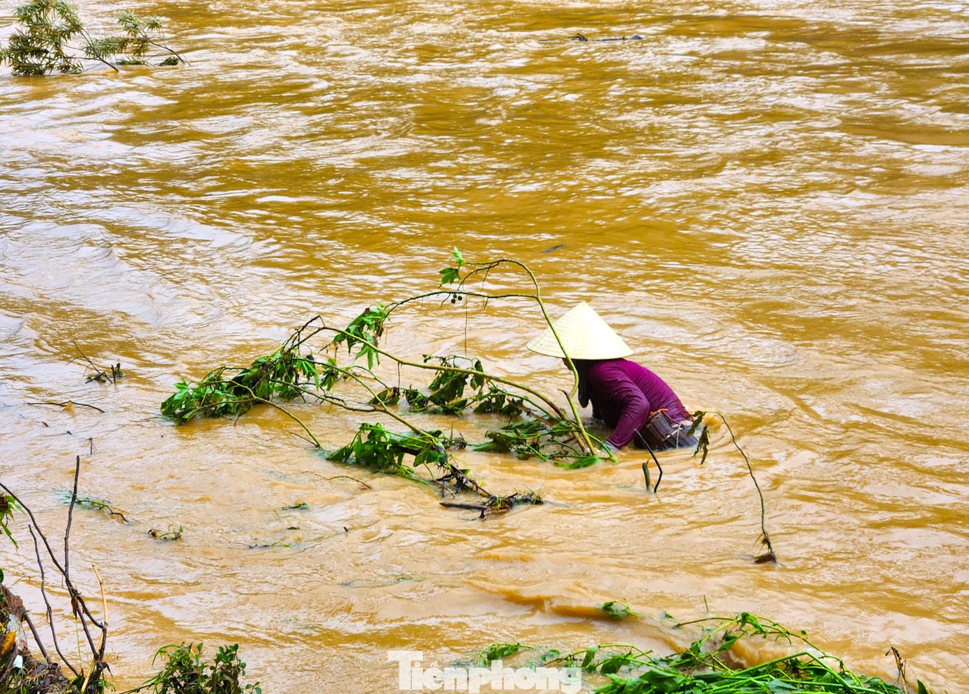 Chị Lương Thị Thuận (45 tuổi, trú bản Diềm) cho hay, mỗi ngày chị ra con suối để bắt cá 2 lần vào buổi sáng và buổi chiều. Mỗi lần chị bắt cá khoảng 2 đến 3 giờ đồng hồ. Công việc khá vất vả khi phải dầm mình dưới nước lũ nhiều giờ đồng hồ nhưng chị Thuận ngày nào cũng ra bắt để kiếm cá về ăn. Chị Lương Thị Thuận (45 tuổi, trú bản Diềm) cho hay, mỗi ngày chị ra con suối để bắt cá 2 lần vào buổi sáng và buổi chiều. Mỗi lần chị bắt cá khoảng 2 đến 3 giờ đồng hồ. Công việc khá vất vả khi phải dầm mình dưới nước lũ nhiều giờ đồng hồ nhưng chị Thuận ngày nào cũng ra bắt để kiếm cá về ăn.