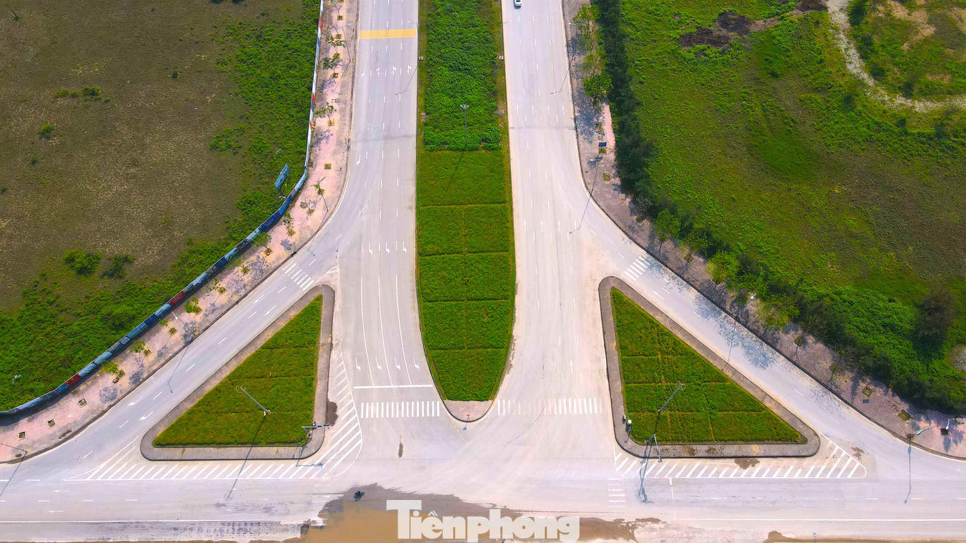 Hoa cúc biển được trồng tại các bồn hoa khu vực ngã ba, ngã tư, các trục đường lớn để quảng bá hình ảnh loài hoa đặc trưng của Cửa Lò.