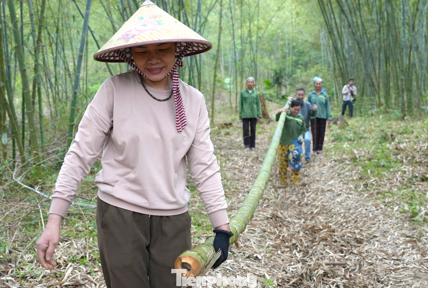 Bà Kha Thị Hiền - Chủ tịch UBND xã Tam Quang - cho biết, với giá ổn định, hiện cây mét thực sự là cây thoát nghèo của người dân trên địa bàn xã. Ngoài mang lại lợi ích kinh tế, cây mét còn tạo cảnh quan, chống sạt lở. Nhu cầu của thị trường rất lớn, nên địa phương đang khuyến khích người dân mở rộng diện tích. Qua đó, giúp dân có nguồn thu nhập ổn định thoát nghèo, vươn lên làm giàu. Bà Kha Thị Hiền - Chủ tịch UBND xã Tam Quang - cho biết, với giá ổn định, hiện cây mét thực sự là cây thoát nghèo của người dân trên địa bàn xã. Ngoài mang lại lợi ích kinh tế, cây mét còn tạo cảnh quan, chống sạt lở. Nhu cầu của thị trường rất lớn, nên địa phương đang khuyến khích người dân mở rộng diện tích. Qua đó, giúp dân có nguồn thu nhập ổn định thoát nghèo, vươn lên làm giàu.
