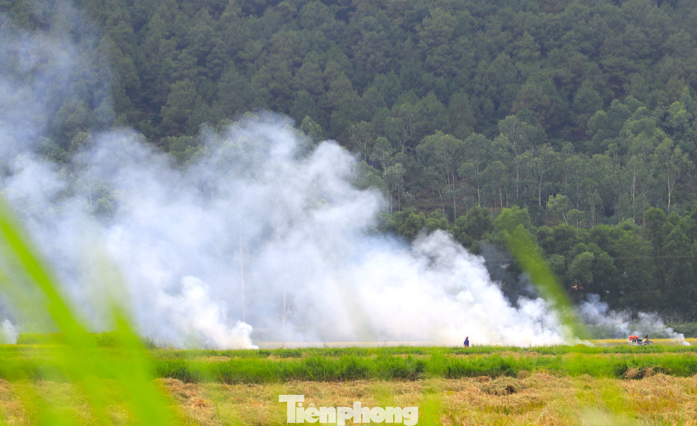 Dù có nhiều người thu gom rơm nhưng một số người dân sau khi thu hoạch lúa vẫn xuống ruộng để đốt rơm thừa khiến khói bao trùm cả một vùng rộng lớn, gây ô nhiễm môi trường.
