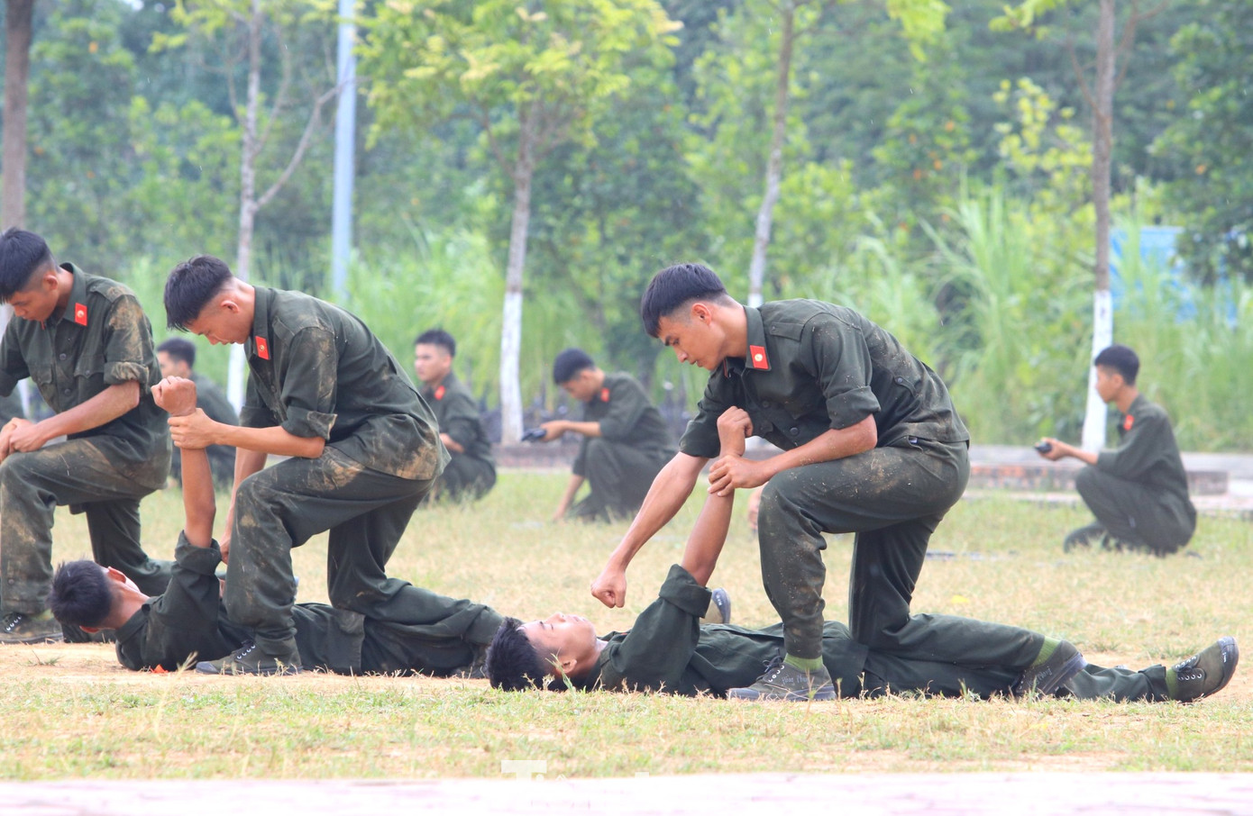 Đồng diễn những bài võ, động tác võ.