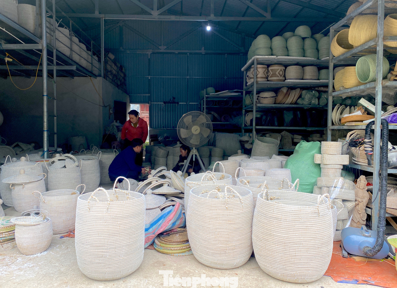 Sau 1 năm học nghề và tìm hiểu thị trường đầu ra, chị Hân trở về quê dựng xưởng, mua máy móc thiết bị và lập nên hợp tác xã và bắt đầu hành trình biến cói thành các sản phẩm đồ thủ công mỹ nghệ hữu ích, đẹp mắt.