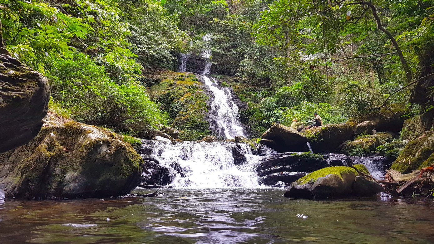 Nơi đây từng được mệnh danh là “chốn tiên cảnh” của Nghệ An. Không chỉ thu hút du khách bởi khung cảnh thiên nhiên tuyệt đẹp, nơi đây còn có những thác nước hùng vĩ, đa dạng sinh học với hàng nghìn loài thực vật và động vật.