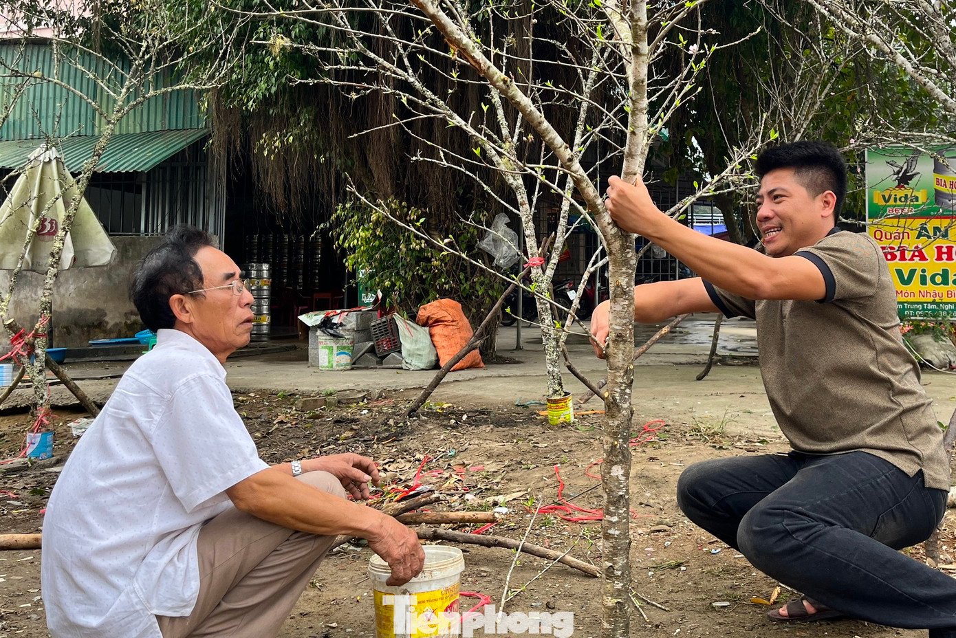Anh Nguyễn Đức Tính (quê xã Nghi Ân, thành phố Vinh) cho biết, năm nay anh cùng 3 người bạn phải sang tận Lào để tìm mua được 200 cành đào đá. Hơn nửa tháng trước anh đã đi tìm mua đào nhưng năm nay đào nở sớm hơn nên việc tìm đào còn nụ để bán đúng dịp Tết rất vất vả. Sau khi đưa được đào về, anh Tính chia thành nhiều điểm khác nhau ở các huyện để bán đào.