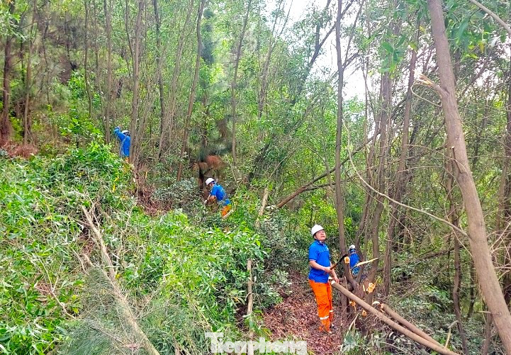 Địa hình đồi núi phức tạp, nắng nóng oi bức, tuy nhiên các đoàn viên thanh niên vẫn quyết tâm phát quang đảm bảo một mùa hè an toàn về hành lang lưới điện.