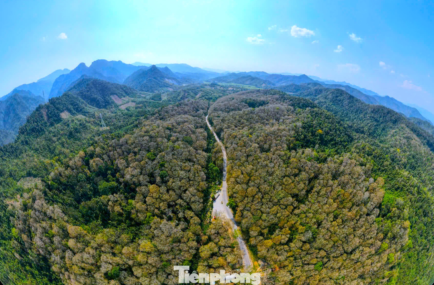 Nhìn từ trên cao, cả cánh rừng trộn lẫn màu vàng, xanh, xám tạo thành bảng màu bắt mắt. Nhìn từ trên cao, cả cánh rừng trộn lẫn màu vàng, xanh, xám tạo thành bảng màu bắt mắt.