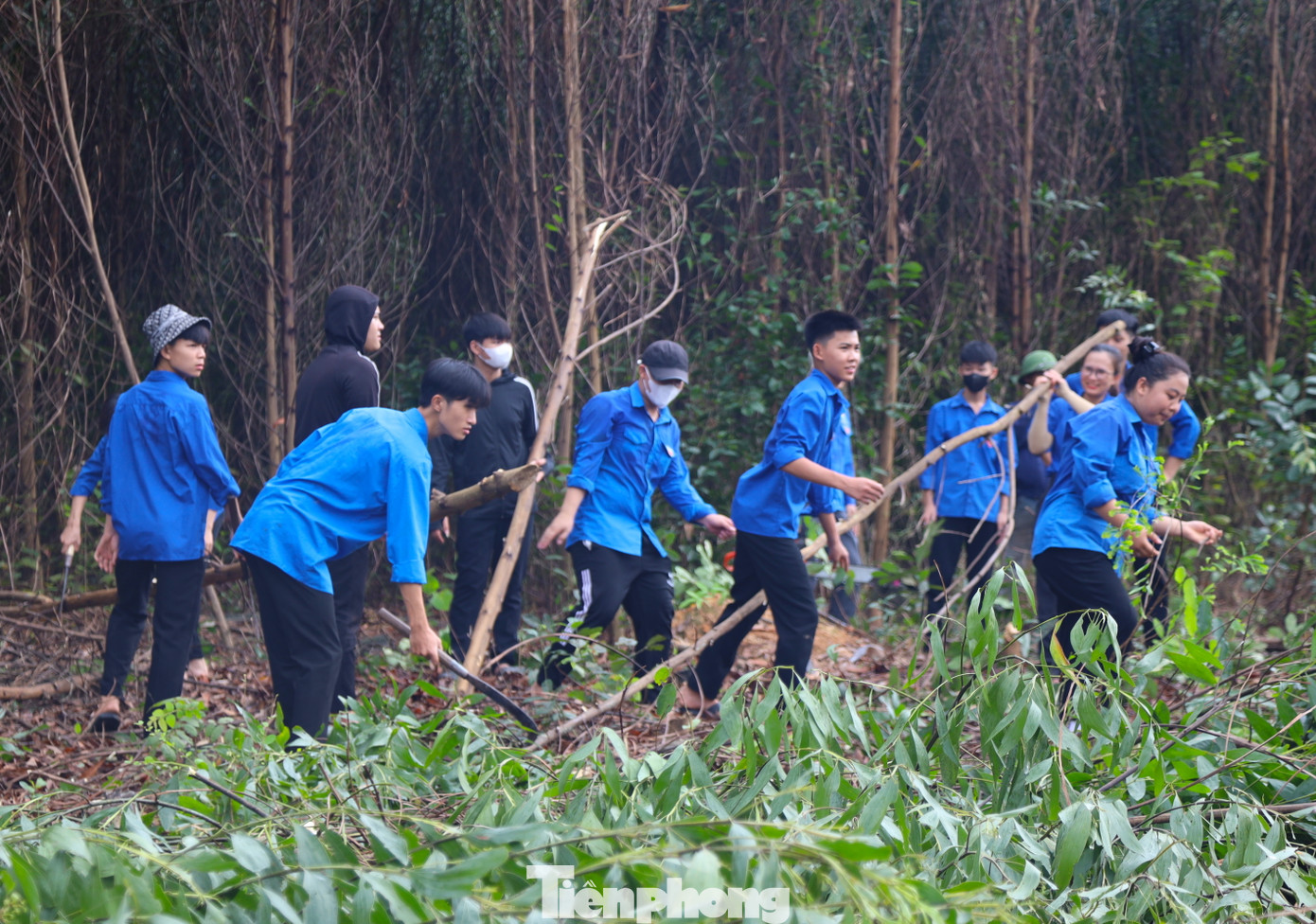 Trong 30 ngày triển khai đợt thi đua cao điểm, các đội hình thanh niên tình nguyện toàn tỉnh Nghệ An đã hỗ trợ tháo dỡ 24 ngôi nhà trong khu vực ảnh hưởng; tháo dỡ 44 chuồng trại và vật kiến trúc; tham gia giải tỏa, phát quang, chặt hạ hơn 26 hecta, gần 9.000 cây các loại ảnh hưởng đến hành lang tuyến đường dây 500kV đi qua để bàn giao mặt bằng cho đơn vị thi công công trình.