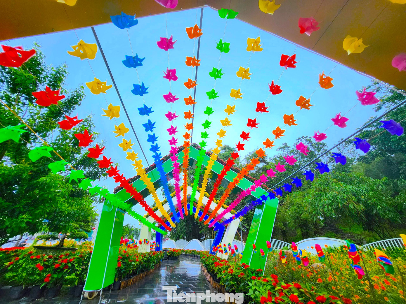 Dãy cánh cổng chong chóng với nhiều màu sắc bắt mắt.