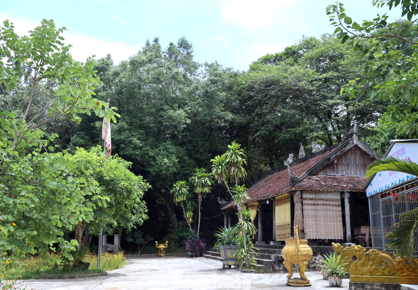 Từ đường lớn dẫn vào khu rừng đi qua ngôi đền Cả và ngôi chùa Tháp.