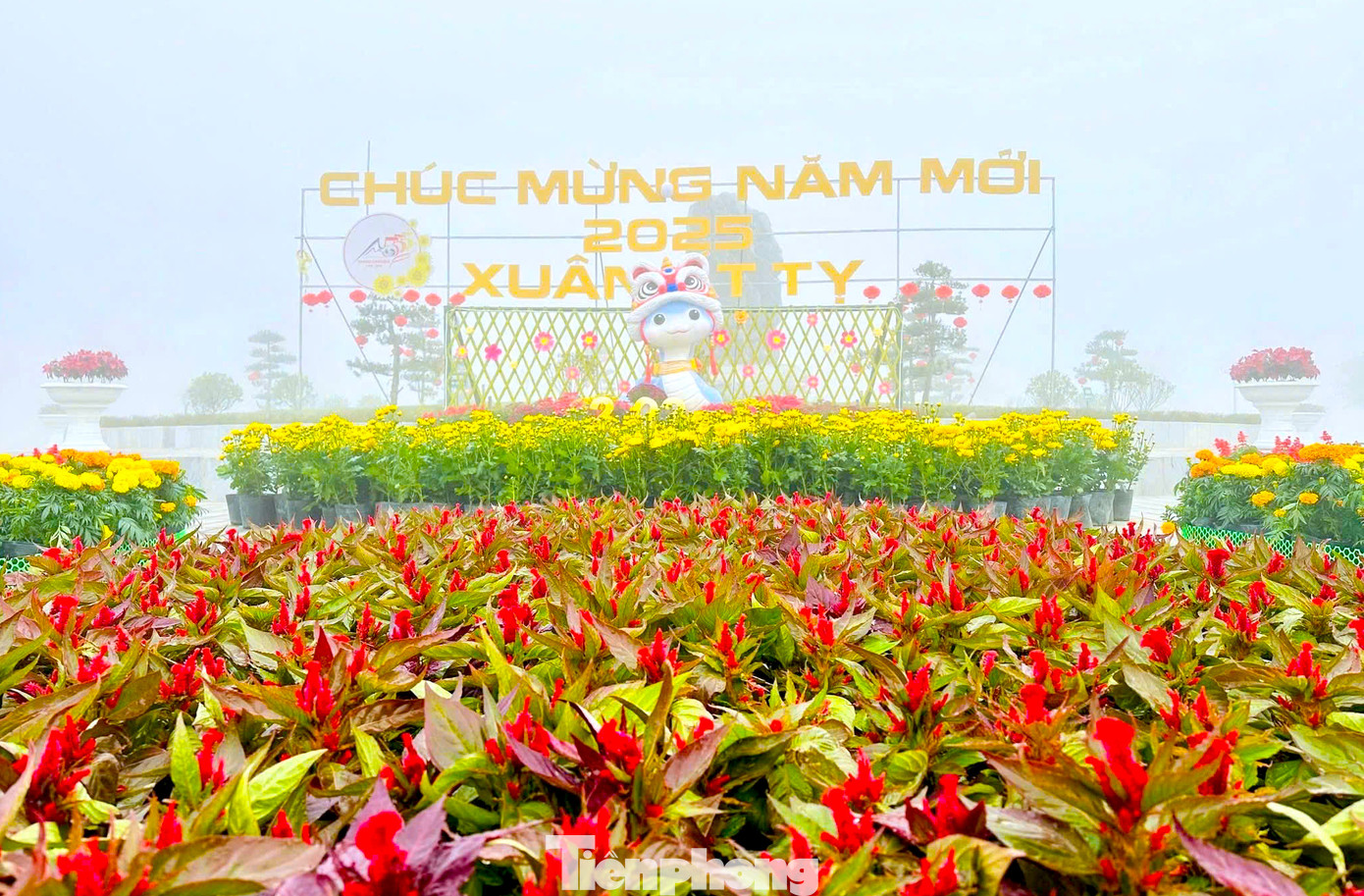 "Linh vật rắn với dáng vẻ đáng yêu, trẻ trung, màu sắc rực rỡ biểu tượng cho thị trấn Dùng vừa được thành lập từ việc sáp nhập 2 xã và thị trấn cũ. Với linh vật rắn và các điểm trang trí hoa, hứa hẹn sẽ là điểm đến du xuân đẹp, hấp dẫn cho người dân trên địa bàn trong dịp Tết 2025 này", Chủ tịch UBND thị trấn Dùng - ông Tưởng Đăng Hào nói.