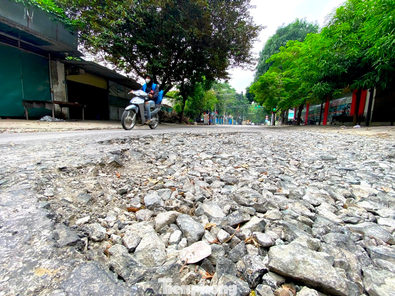 Ông Nguyễn Ngọc Phong - Giám đốc Ban quản lý dự án Đầu tư và Xây dựng TP. Vinh - cho biết dự án đang được triển khai. Hiện đơn vị đo đạc, thống kê, xác định nguồn gốc đất của các hộ dân trong phạm vi ảnh hưởng dự án để giải phóng mặt bằng. Sau khi hoàn tất các quy trình sẽ triển khai đầu tư xây dựng đường. Ông Nguyễn Ngọc Phong - Giám đốc Ban quản lý dự án Đầu tư và Xây dựng TP. Vinh - cho biết dự án đang được triển khai. Hiện đơn vị đo đạc, thống kê, xác định nguồn gốc đất của các hộ dân trong phạm vi ảnh hưởng dự án để giải phóng mặt bằng. Sau khi hoàn tất các quy trình sẽ triển khai đầu tư xây dựng đường.