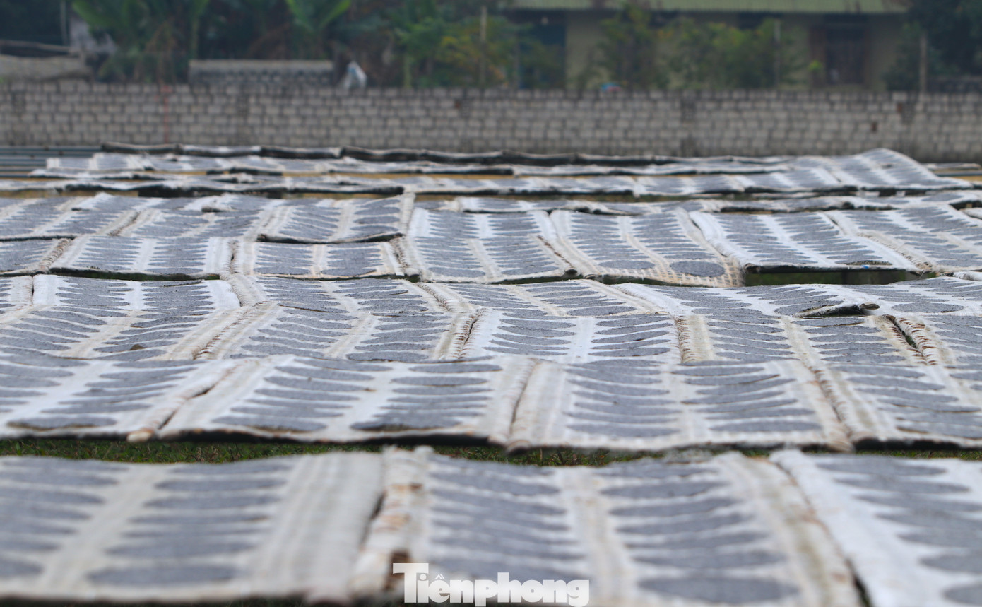 Hàng ngày, cơ sở của chị Lý sản xuất ra gần 10.000 chiếc bánh. Riêng dịp Tết, chị Lý phải thuê thêm thợ về làm để kịp giao cho khách.