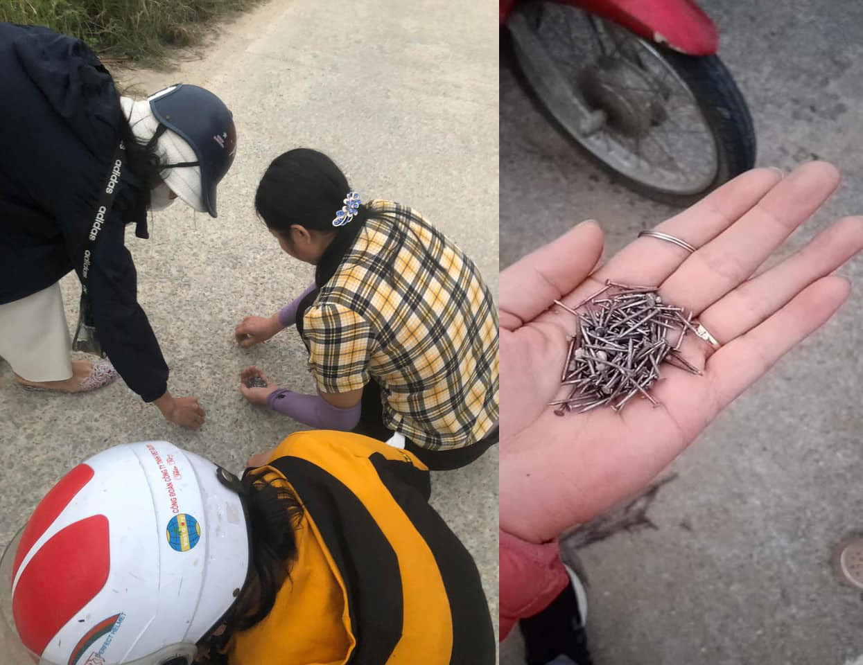 Nhóm công nhân nhặt được cả nắm đinh trong tay.