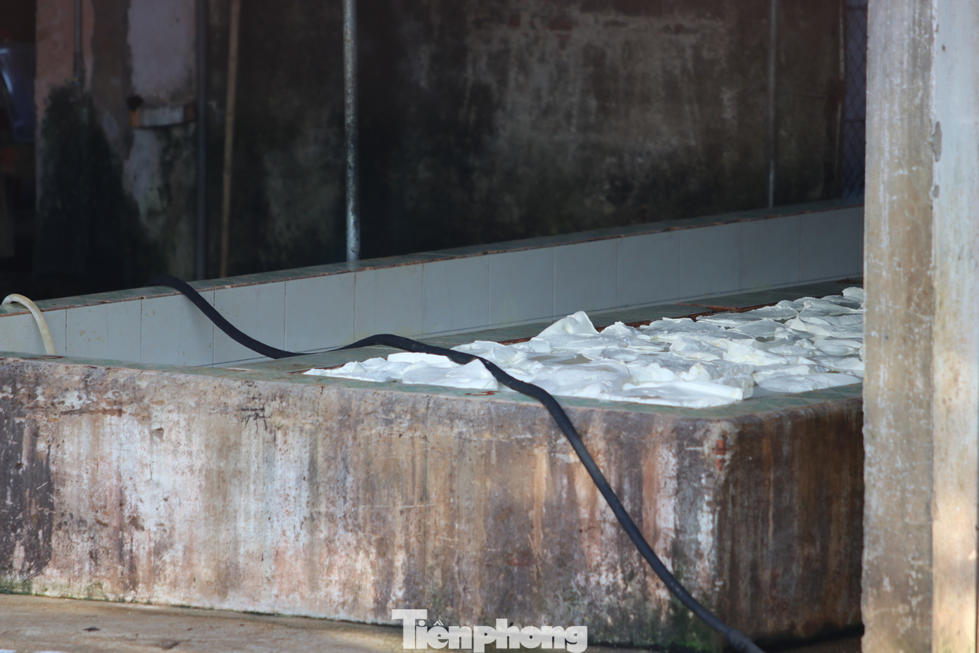 Bên trong xưởng có nhiều bể ngâm cao su, mỗi khi hoạt động thải ra khói đen, mùi hôi thối.