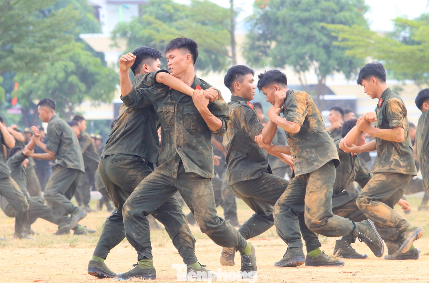 Đồng diễn những bài võ, động tác võ.