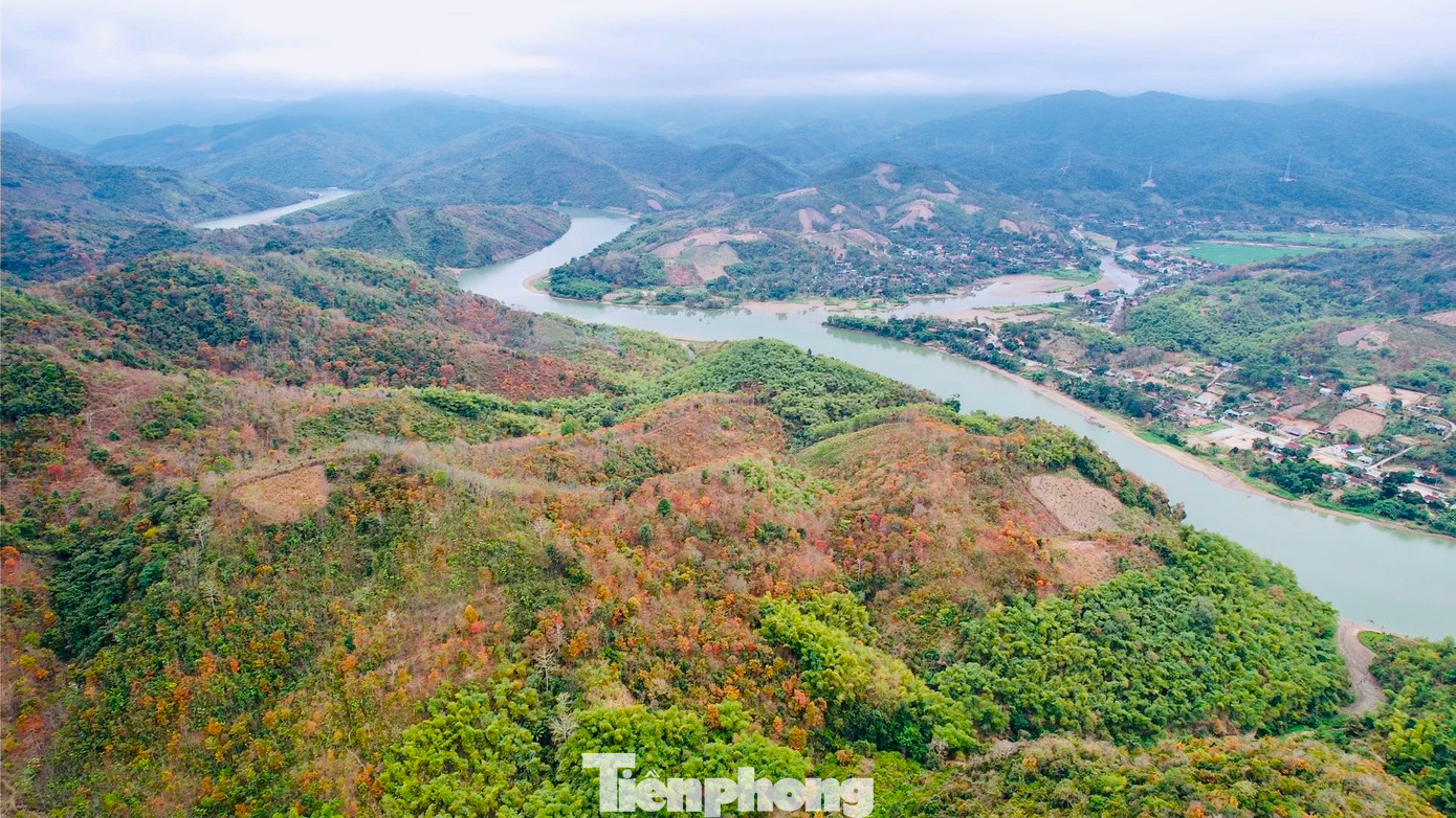Ngoài khu rừng săng lẻ ở xã Tam Đình, nhiều cánh rừng tự nhiên ở các xã khác của huyện Tương Dương với đa dạng các loài cây tạo nên vẻ đẹp đa dạng. Những cây săng lẻ đổi màu lá xen lẫn với những cây xanh tạo nên những mảng màu đẹp.