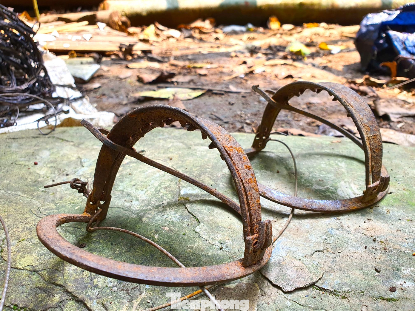 Trong gần 3.000 chuyến tuần tra, "Đội đặc nhiệm" đã tháo gỡ 15.803 bẫy thú của các đối tượng săn bắt giăng ra; phát hiện hơn 300 động vật bị săn, bắn, vận chuyển; phá hủy hơn 1.150 lán trại của người đi săn trong rừng. Trong những chuyến tuần tra, Đội phát hiện 939 người vi phạm, lập biên bản xử lý 379 người, thu giữ 130 khẩu súng, 41 kích điện.