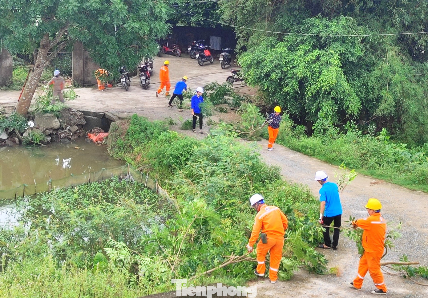 Vào mỗi dịp Hè, nhu cầu sử dụng điện của người dân ngày càng tăng cao thì an toàn trong sử dụng điện lại được đặt ra cấp thiết. Để chủ động trong công tác duy trì điện liên tục, ổn định, phòng ngừa sự cố, tránh các nguy cơ cháy nổ và tai nạn điện trong dân, các cấp bộ Đoàn trên toàn tỉnh Nghệ An đã phối hợp với Điện lực Nghệ An đồng loạt ra quân phát quang hành lang an toàn lưới điện.