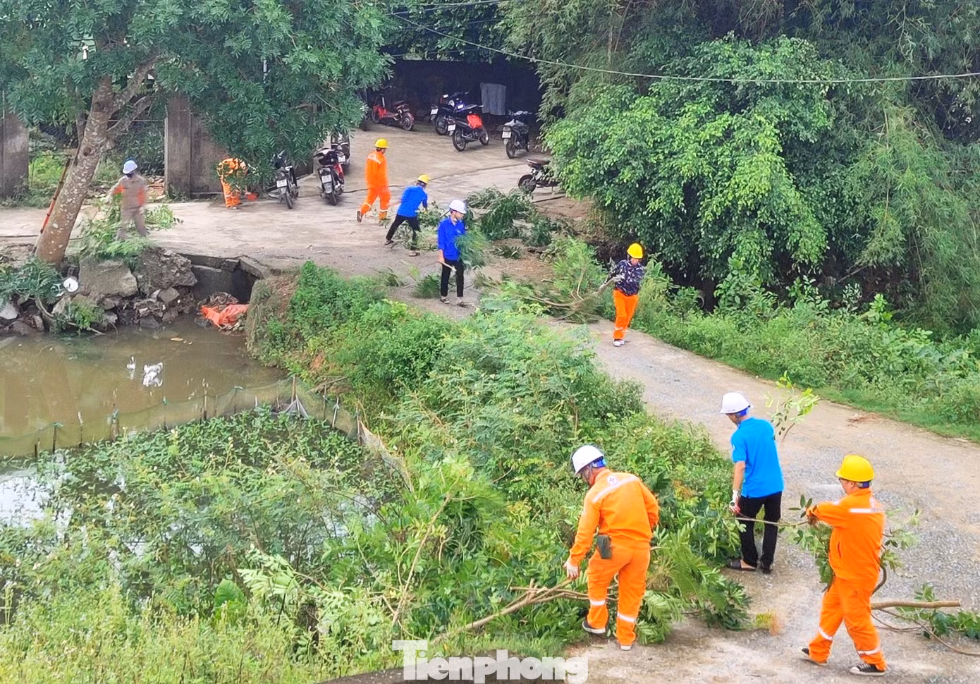 Vào mỗi dịp Hè, nhu cầu sử dụng điện của người dân ngày càng tăng cao thì an toàn trong sử dụng điện lại được đặt ra cấp thiết. Để chủ động trong công tác duy trì điện liên tục, ổn định, phòng ngừa sự cố, tránh các nguy cơ cháy nổ và tai nạn điện trong dân, các cấp bộ Đoàn trên toàn tỉnh Nghệ An đã phối hợp với Điện lực Nghệ An đồng loạt ra quân phát quang hành lang an toàn lưới điện.